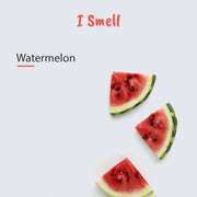 Hand Sani Watermelon