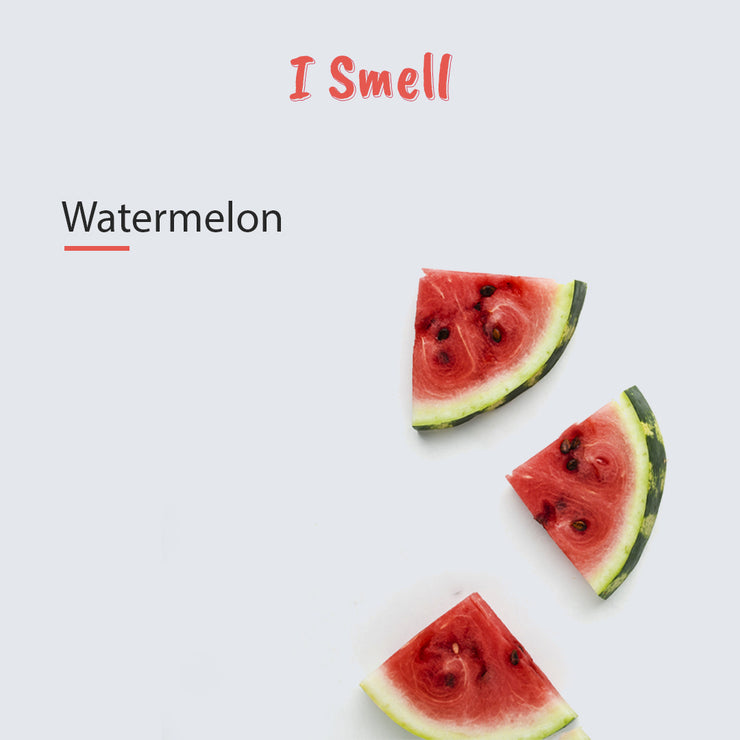 Hand Sani Watermelon Set of 2